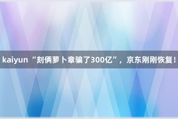 kaiyun “刻俩萝卜章骗了300亿”，京东刚刚恢复！