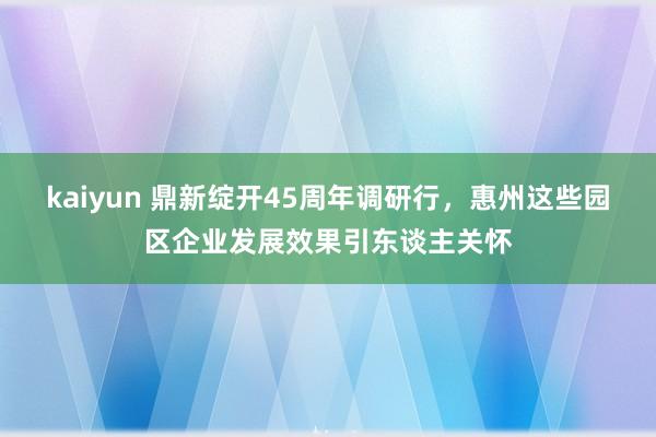 kaiyun 鼎新绽开45周年调研行，惠州这些园区企业发展效果引东谈主关怀