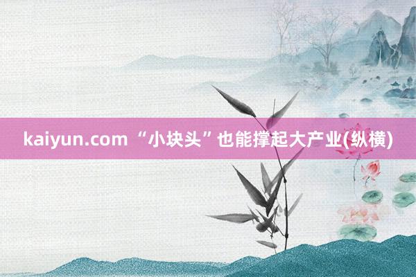 kaiyun.com “小块头”也能撑起大产业(纵横)