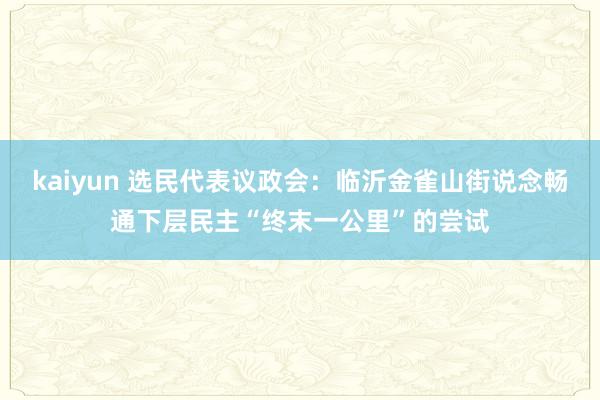 kaiyun 选民代表议政会：临沂金雀山街说念畅通下层民主“终末一公里”的尝试