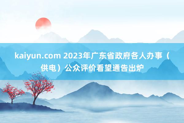 kaiyun.com 2023年广东省政府各人办事（供电）公众评价看望通告出炉