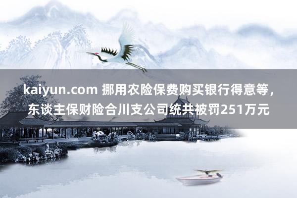 kaiyun.com 挪用农险保费购买银行得意等，东谈主保财险合川支公司统共被罚251万元