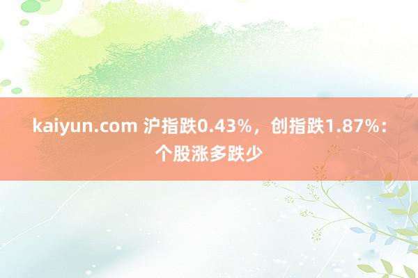 kaiyun.com 沪指跌0.43%，创指跌1.87%：个股涨多跌少