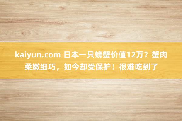 kaiyun.com 日本一只螃蟹价值12万？蟹肉柔嫩细巧，如今却受保护！很难吃到了