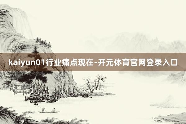 kaiyun　　01　　行业痛点　　现在-开元体育官网登录入口